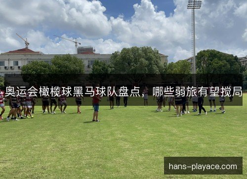 奥运会橄榄球黑马球队盘点，哪些弱旅有望搅局